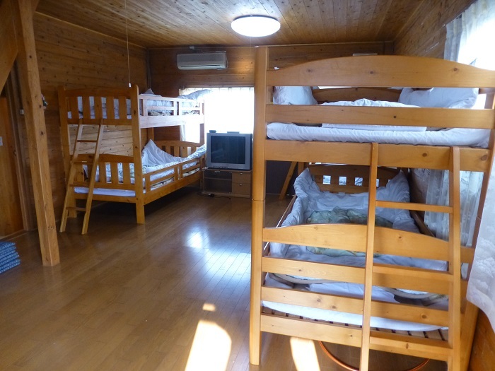 Standard log house