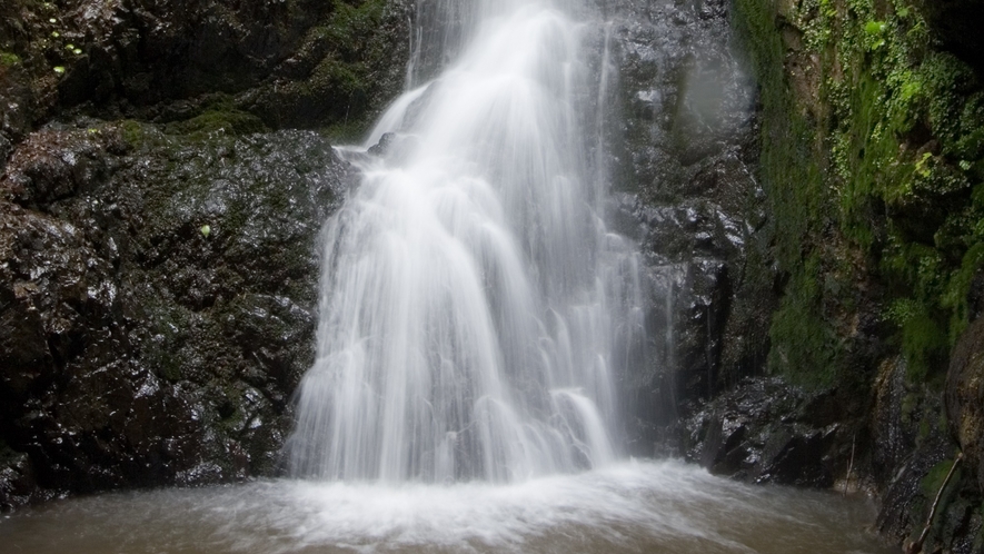 *周辺散策/「蛇の湯の滝」湯ノ沢にある滝は夏油の豊富な水量を表しています。