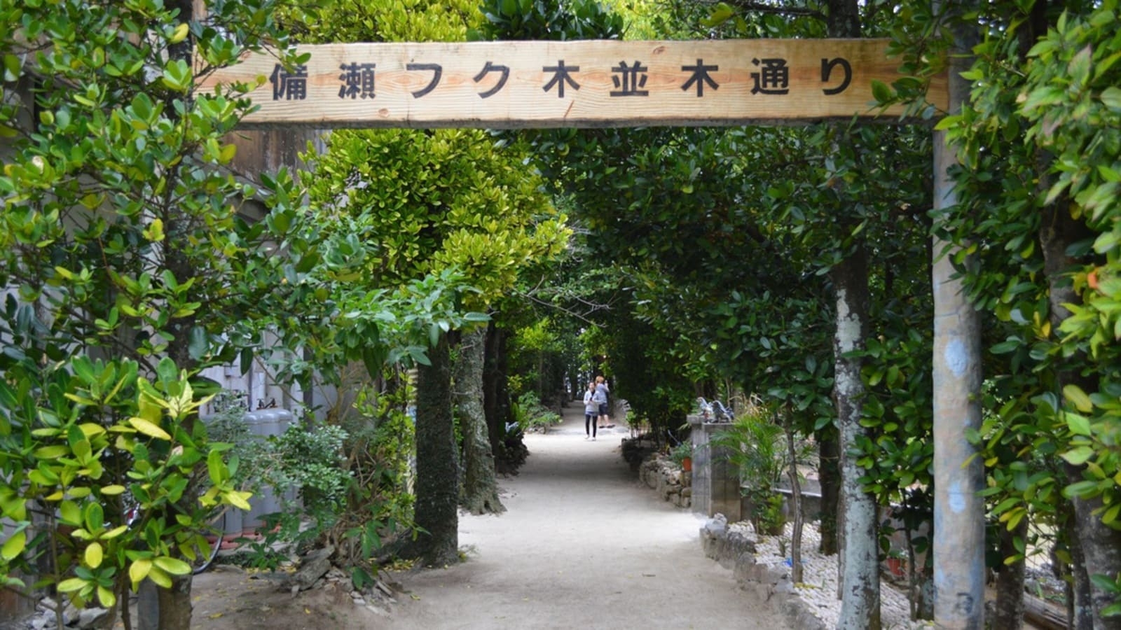 【2連泊以上／お子様半額】フクギ並木レンタサイクル付き★家族で楽しむリゾート満喫ステイ／夕朝食付