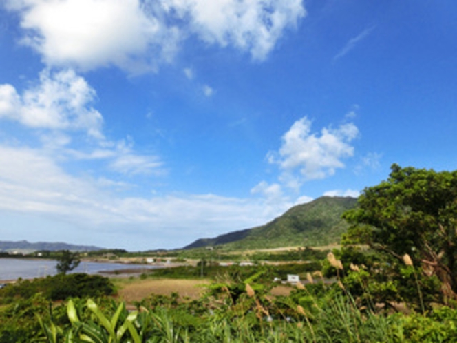 【庭からの眺望】石垣島の自然を感じられる風景