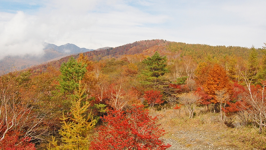 *袈裟丸山/紅葉シーズンはしゃくなげやツツジの色鮮やかさが山を覆い、弘法大師や信仰にまつわる伝説も