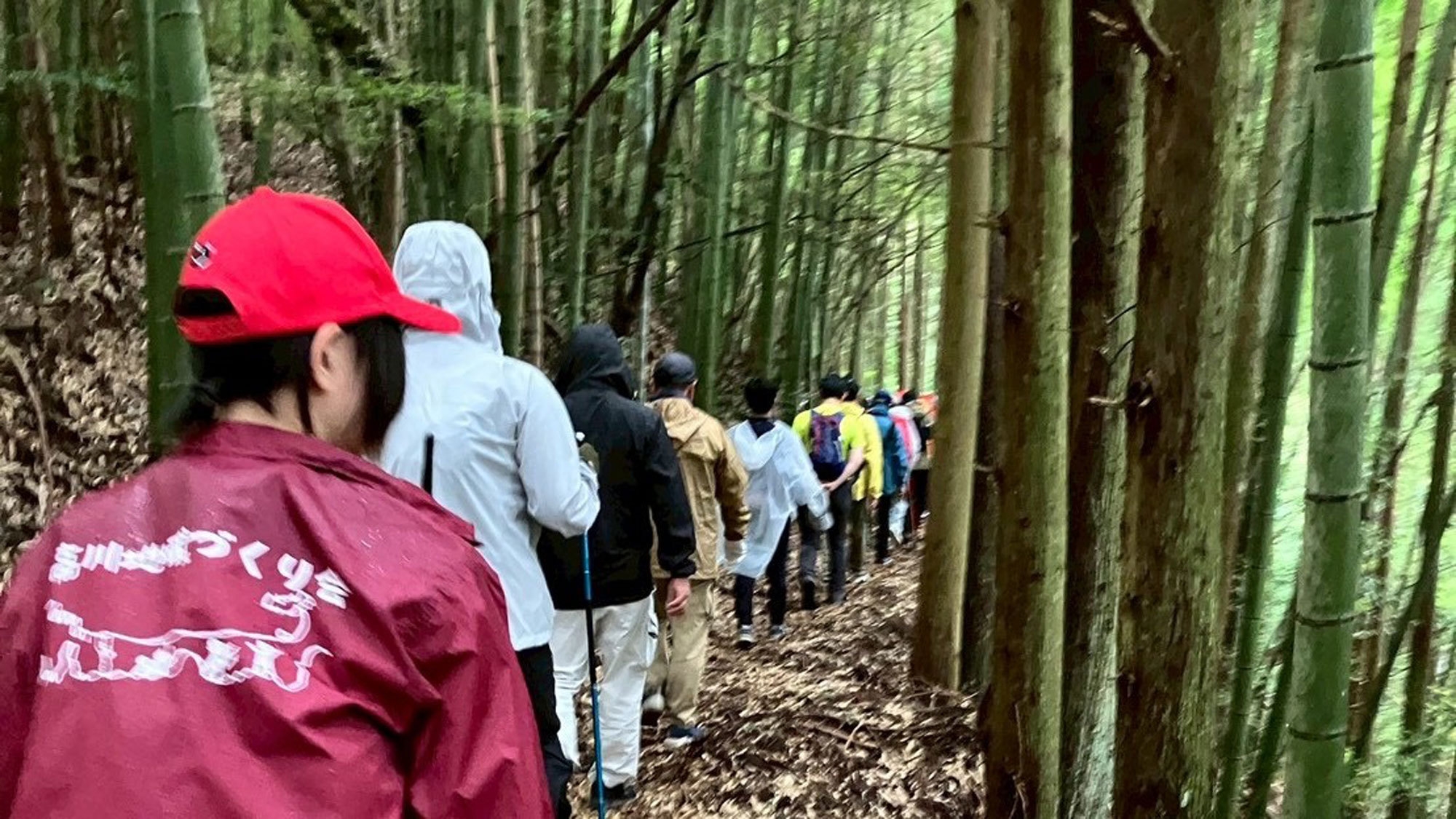 【素泊】龍馬脱藩の道を歩く 奥伊予癒しの温泉ステイ☆『クアテルメ宝泉坊』