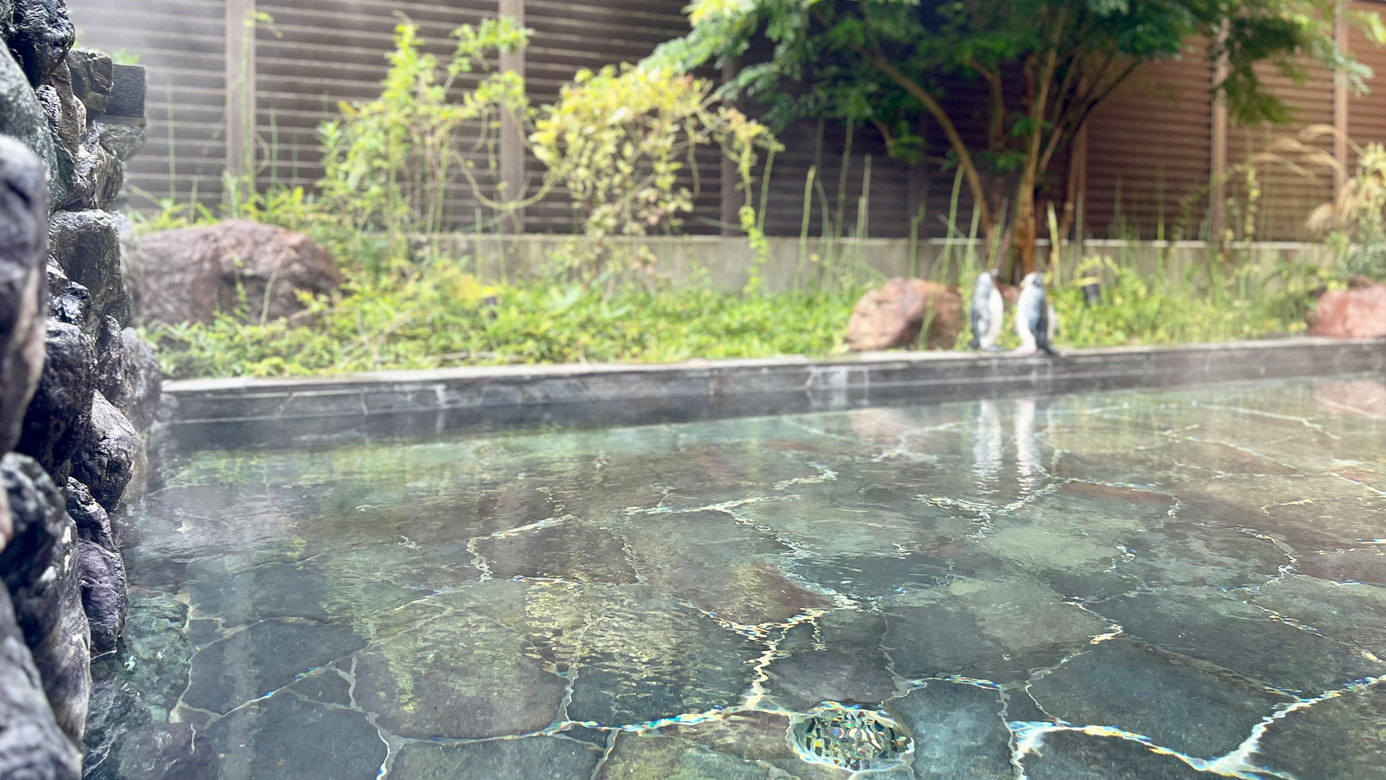 宝泉坊クアテルメ温泉（男性）露天イメージ