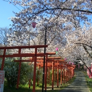 写真3