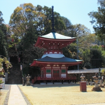 写真6