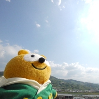 写真1
