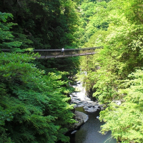 奈良県・天川村　みたらい渓谷