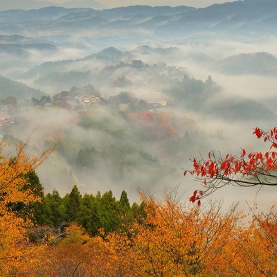 【吉野山】 秋の雲海