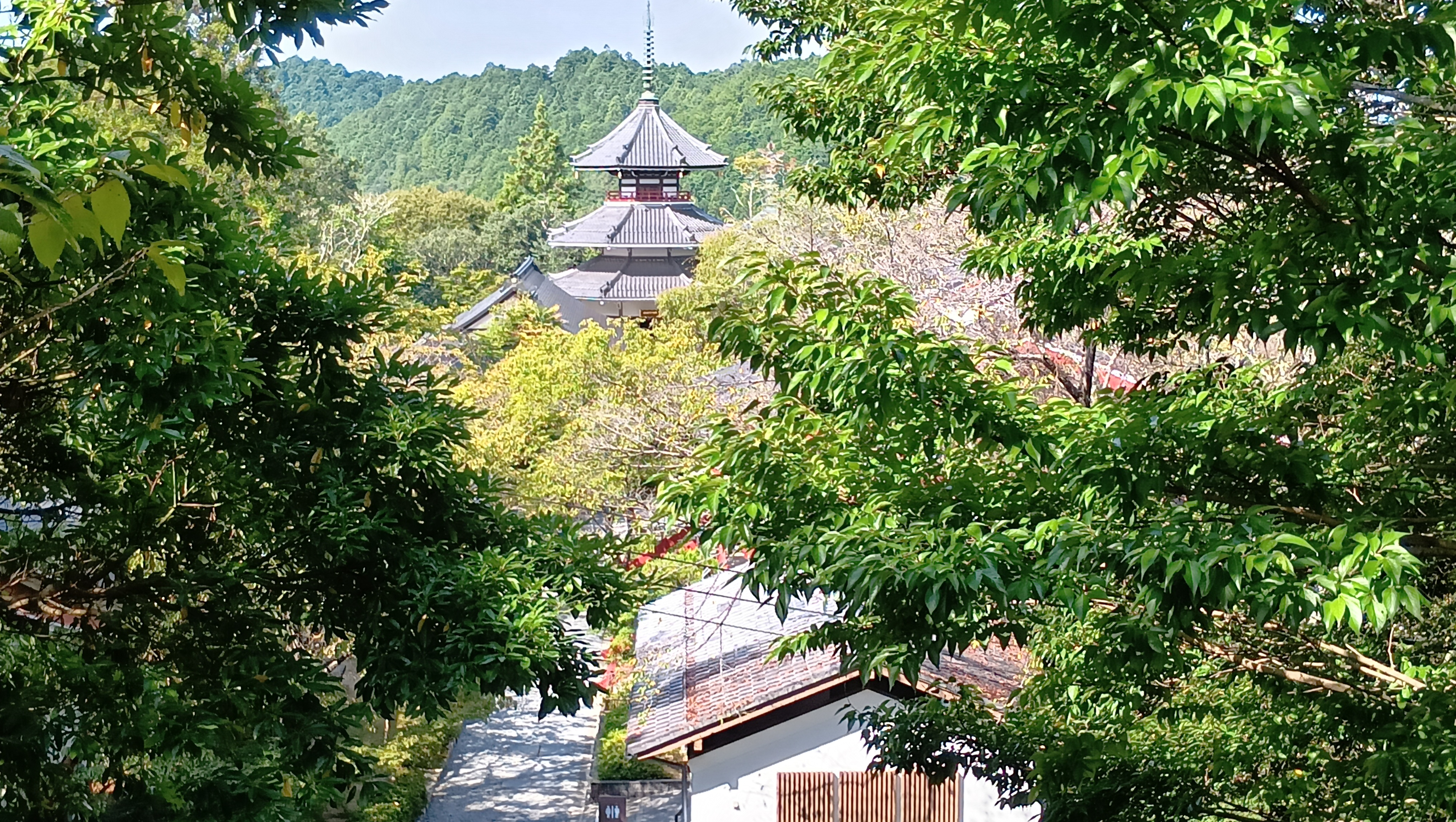 【奈良吉野】当ホテルよりお車で約60分