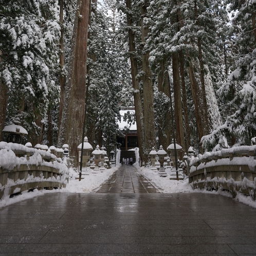 高野山・奥之院　冬の様子