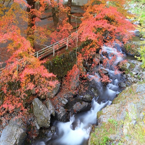 セレクトイン佐野駅前近隣の紅葉スポット蓬莱山