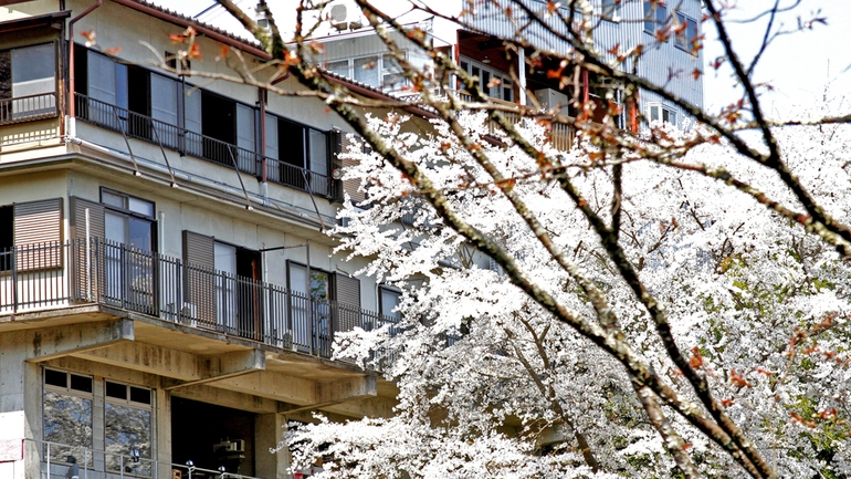 【3/20〜4/26限定】絶品ボタン鍋を堪能【貸切眺望風呂付】