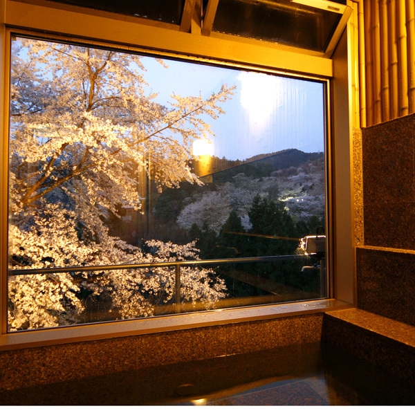 【3/20〜4/26限定】オリジナル鴨鍋プラン【貸切眺望風呂付】