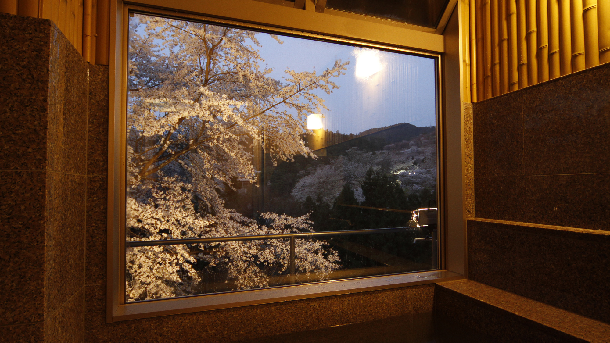 【眺望風呂】春の桜のシーズンになると、目の前に大きな桜の木を見ることが出来ます