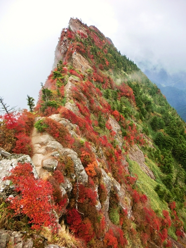 石鎚山　紅葉