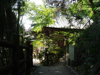 散策路