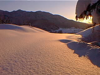 雪原