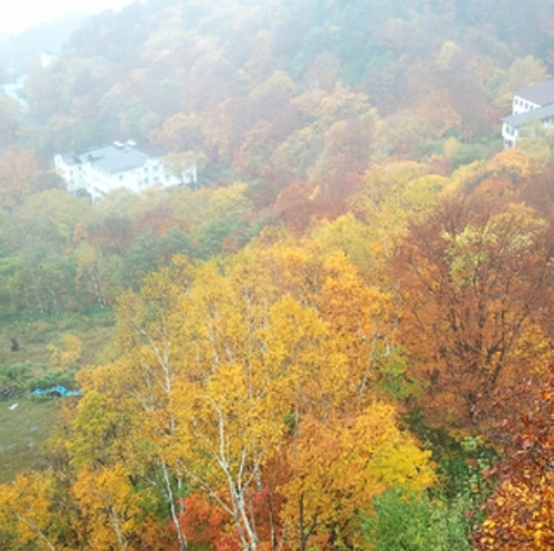 志賀高原、発哺温泉の紅葉