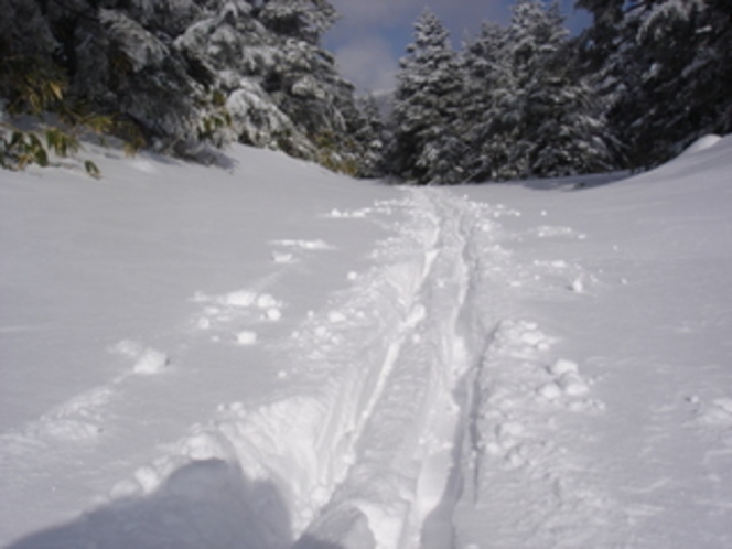 雪は無条件に私たちを迎えてくれて