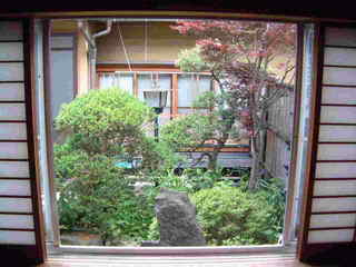 中庭の眺め〜白樺の間から