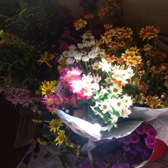 じつはこの花たちは、、