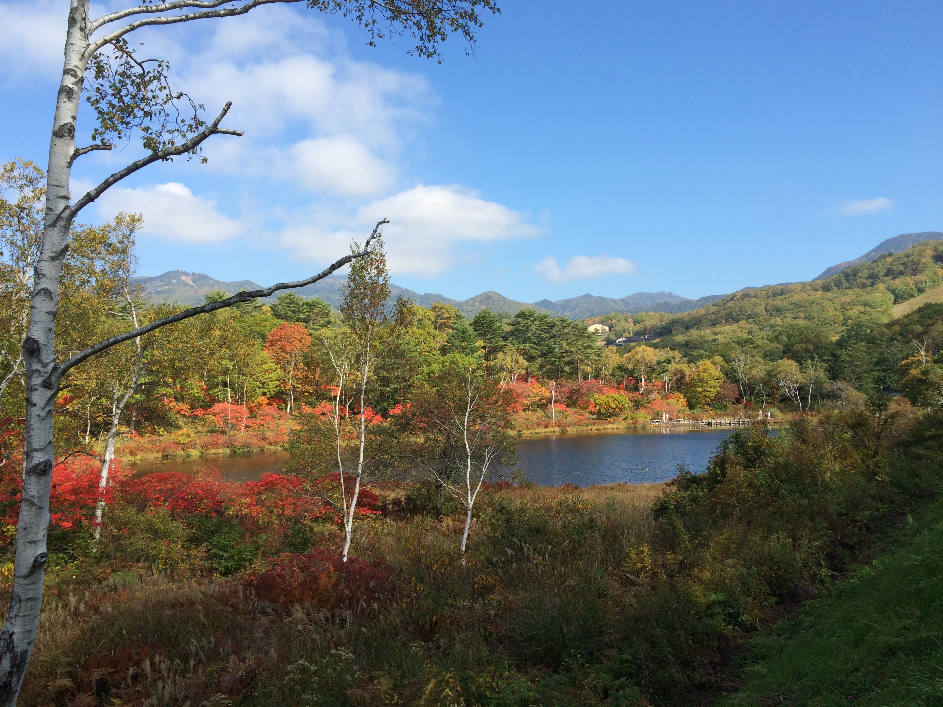 紅葉の志賀高原
