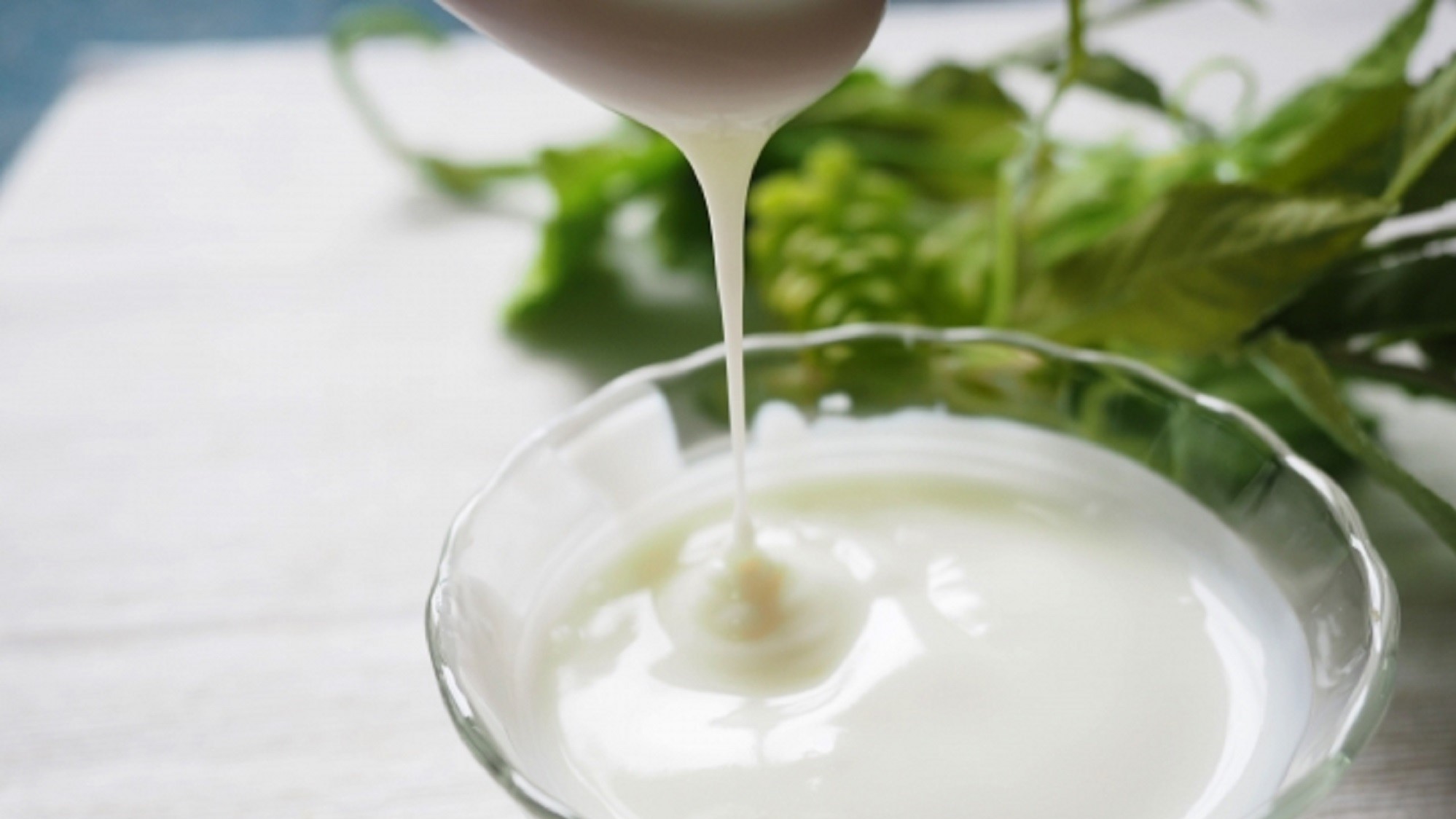 岩泉ヨーグルト