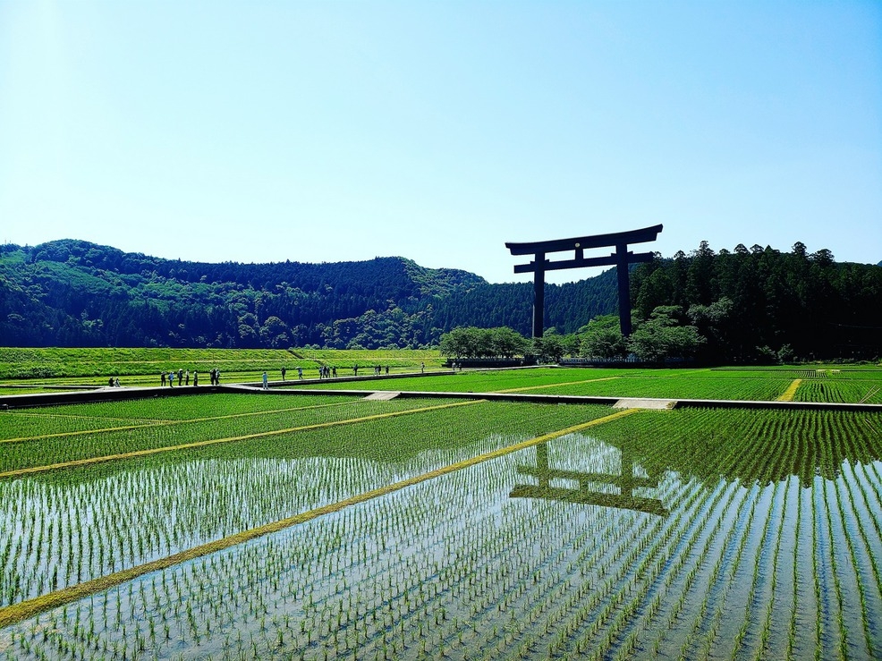 【1泊2食付】ミステリープラン◆お部屋とお食事は完全にお任せ・熊野古道・世界遺産・ゴールデンウイーク