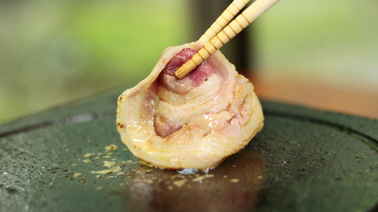 *【牡丹肉の焼肉】京都産の猪肉はくさみが全く無く、上質な脂の旨味があります。