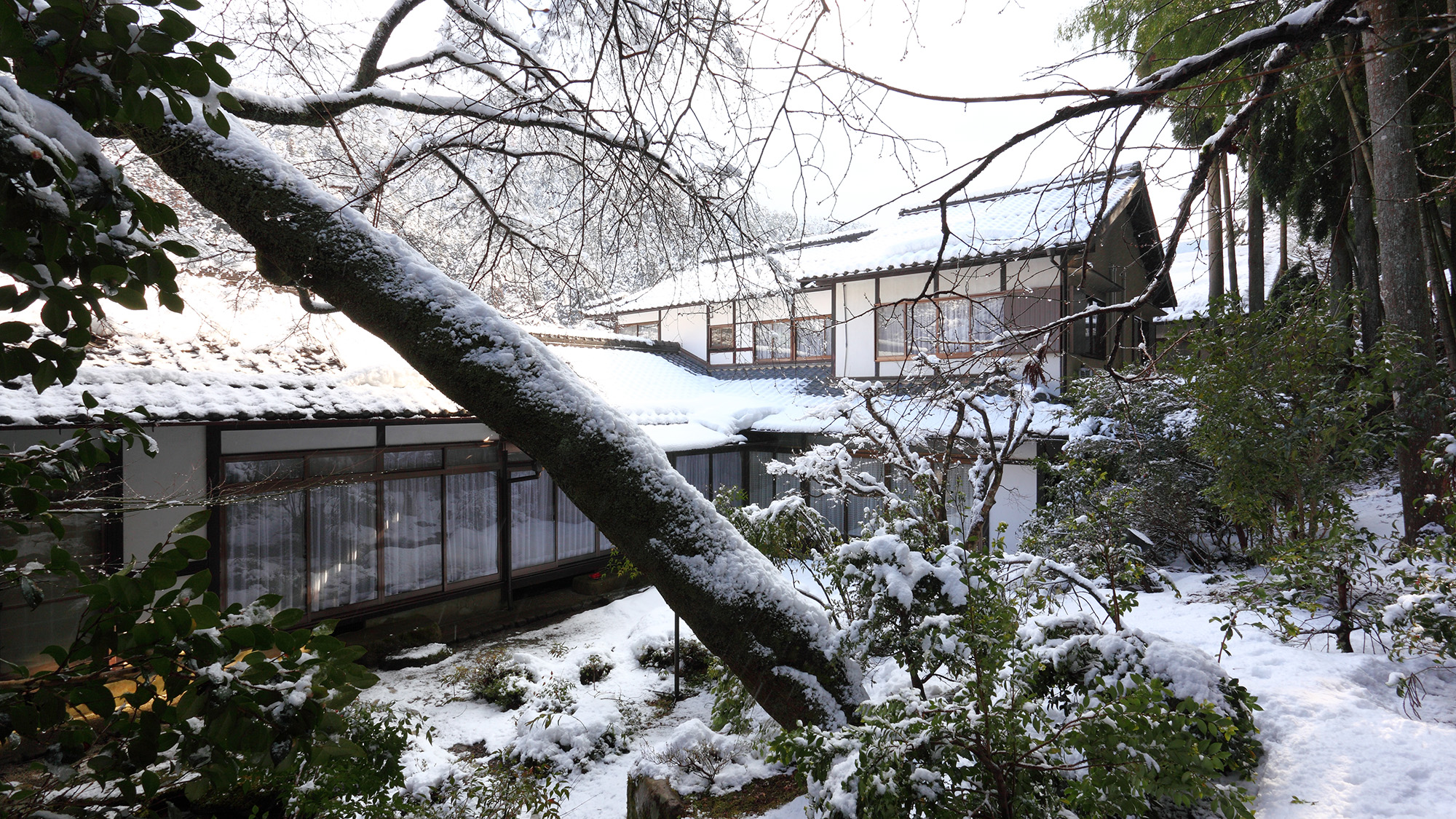 *【雪景色の中庭】冬ならではの静かな里山の風景。お庭も凛と澄んだ風情が漂います。