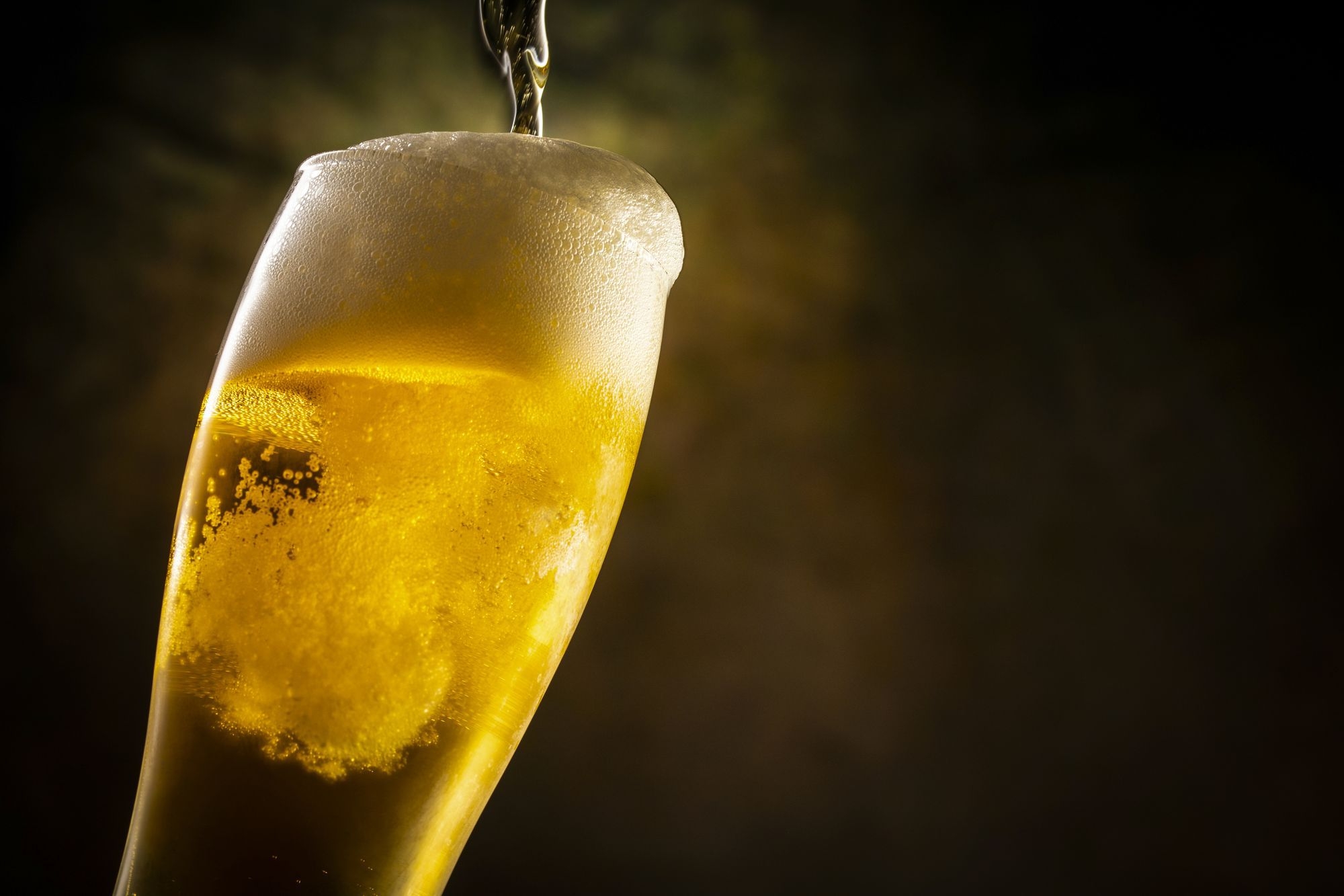 【1泊2食付き】【2026ビアガーデン！食べ飲み放題付き宿泊プラン！】