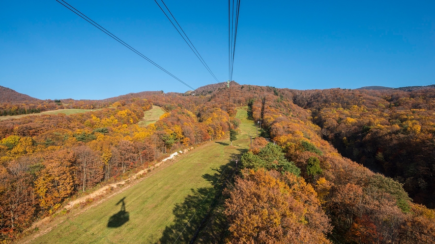 蔵王中央ロープウェイで紅葉を見下ろす空中散歩。中央高原をハイキング