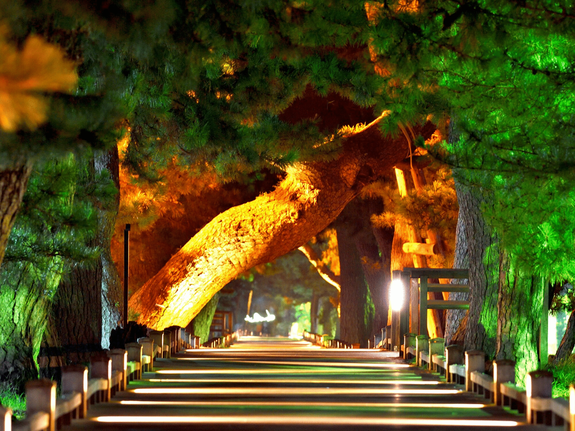 楽天トラベル 三保の松原 周辺のビジネスホテル