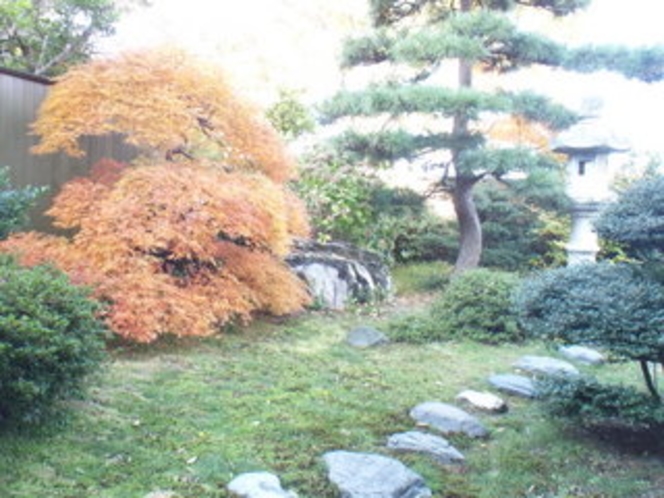 秋の中庭
