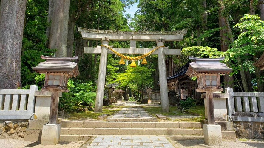 ・芦峅雄山神社鳥居　樹齢約５百年の杉と参道が続きます