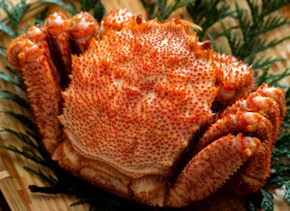 【楽天スーパーSALE】数量限定・商品券付♪＜大ズワイ・栗・毛蟹＞【竜宮城玉手箱会席】蟹1品選べる