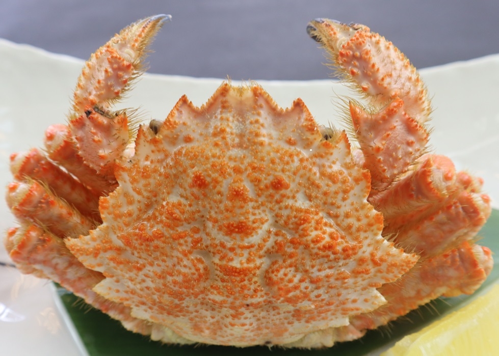 【楽天スーパーSALE】数量限定・商品券付♪＜大ズワイ・栗・毛蟹＞【竜宮城玉手箱会席】蟹1品選べる