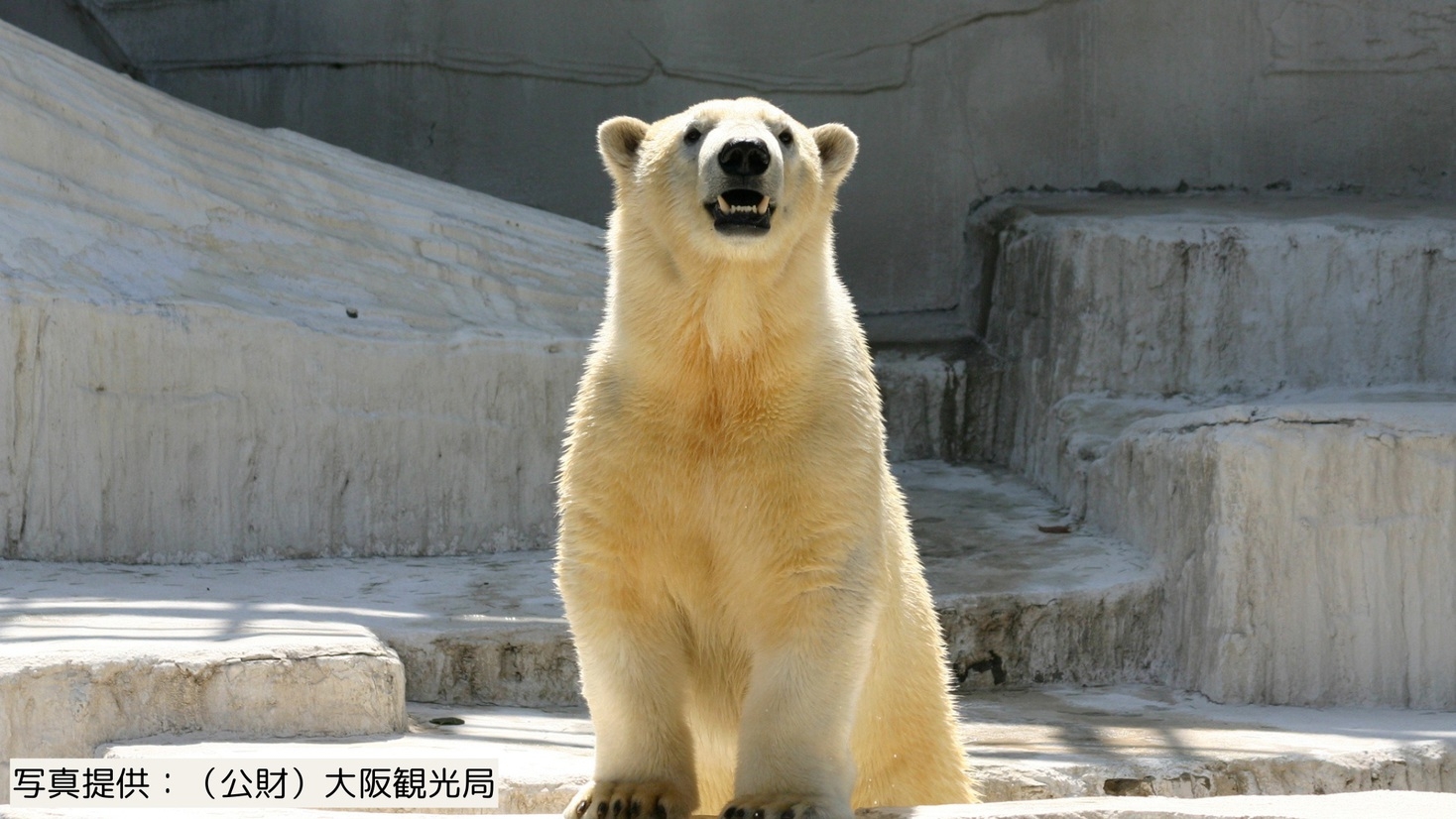 【ファミリーにおすすめ】小学生以下20％OFF！1泊3食飲み放題＆天王寺動物園の入園引換券付き！