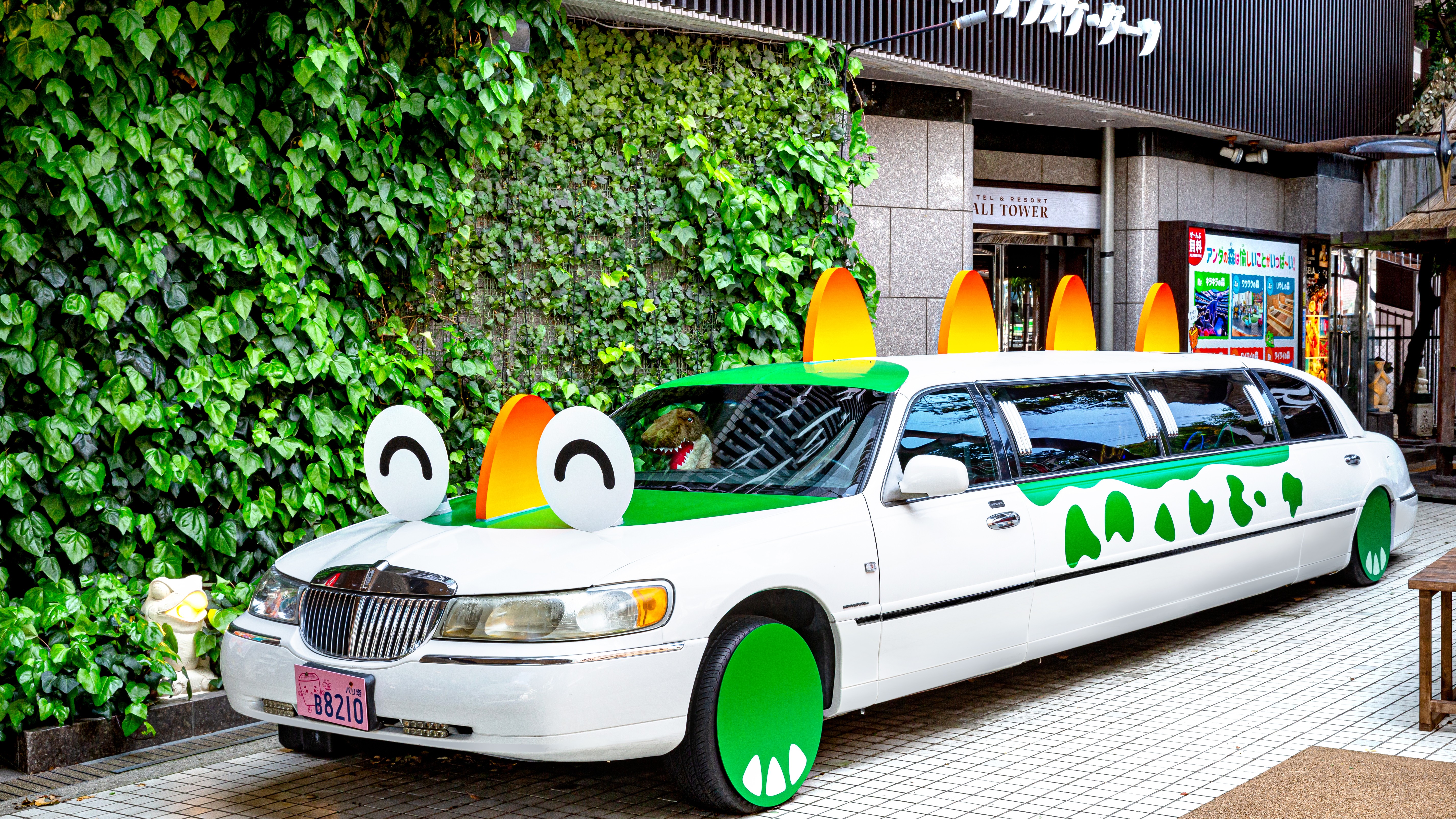 外観