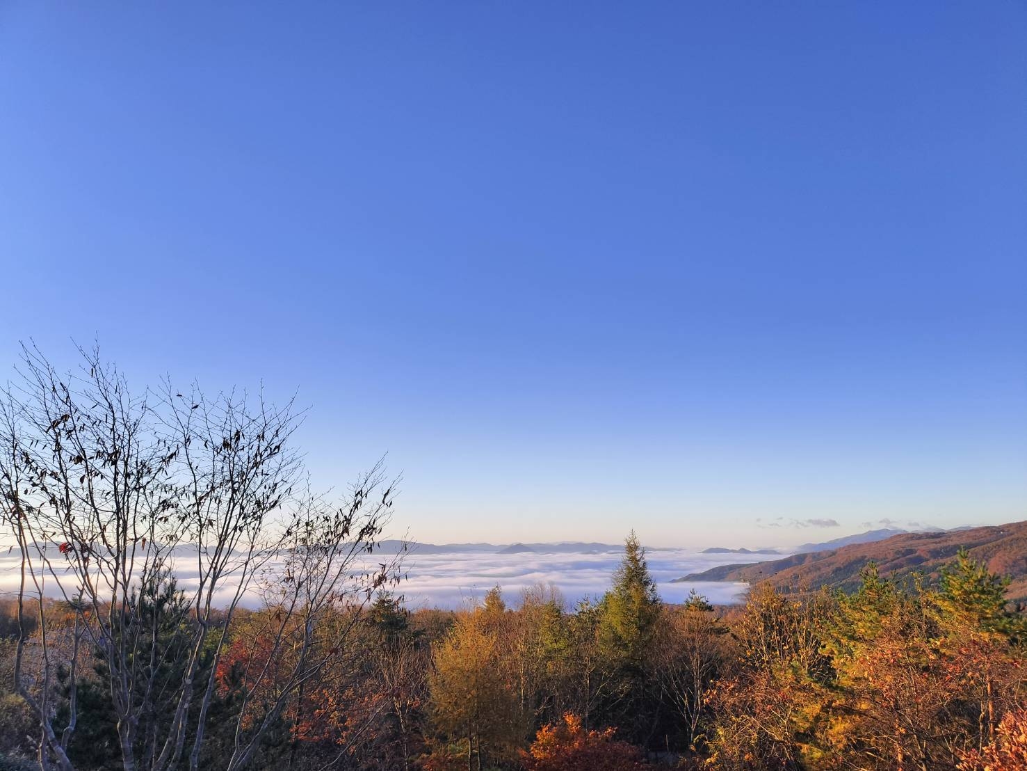 タイムセール！【冬季限定】今だけお得なプラン♪　標高700mの絶景☆大パノラマ ☆彡１泊２食付プラン