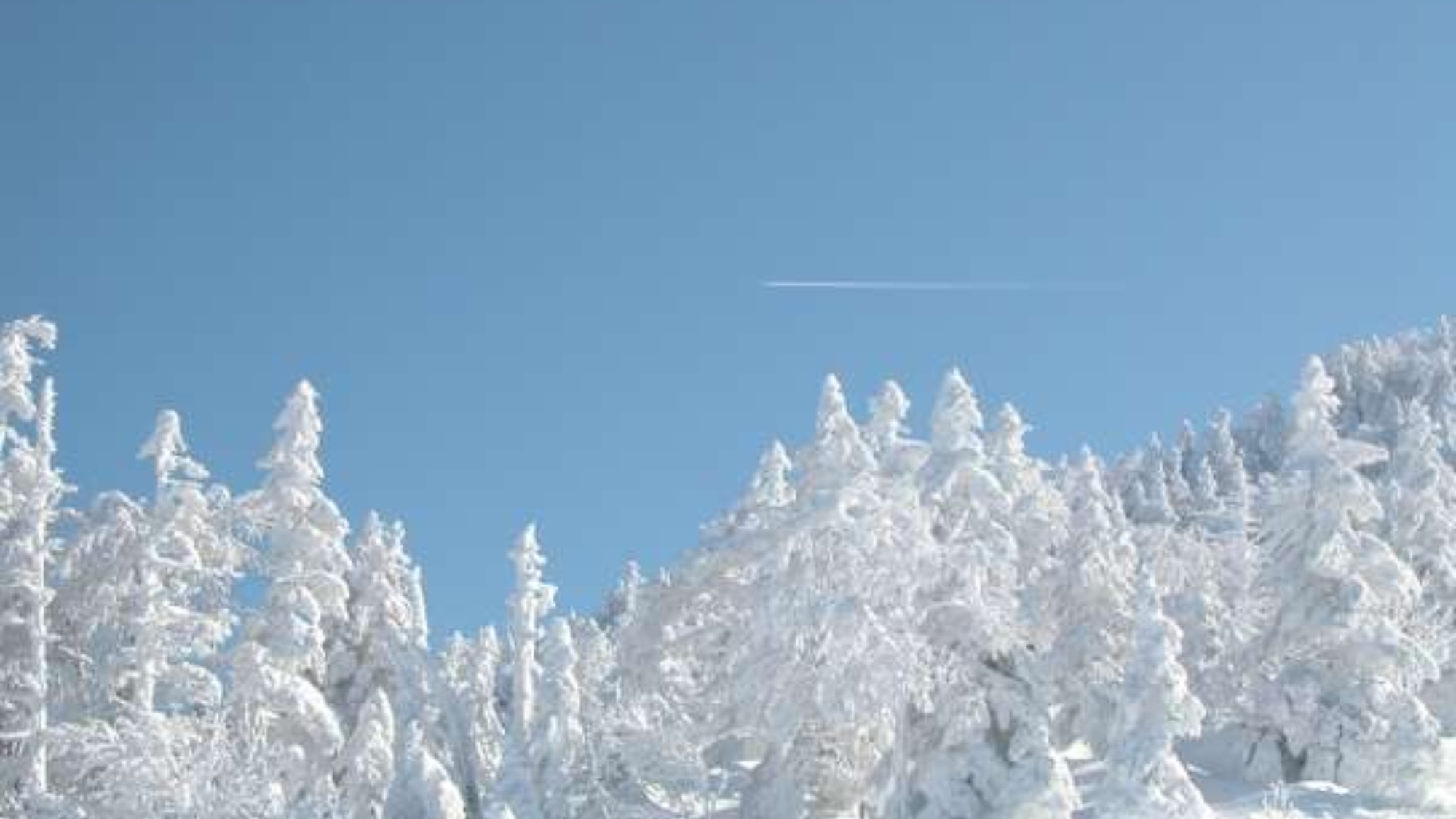 【天元台へご出発の方へおすすめ】1泊2食＋3大特典付＜天元台へ送り＋日帰り入浴＋ロープウェイ割引券＞