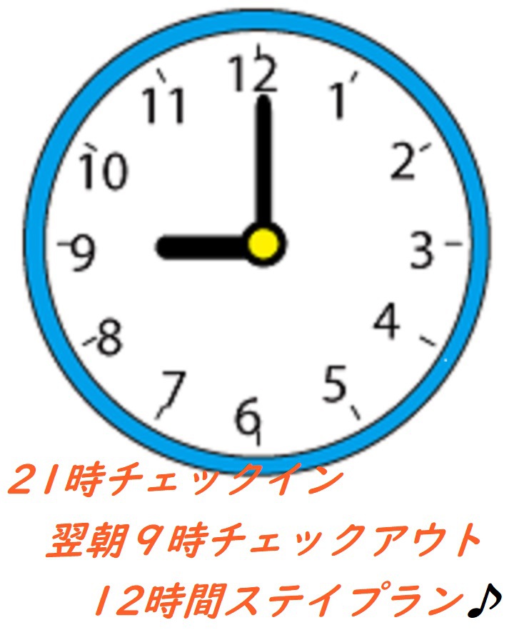 【21時チェックイン翌９時チェックアウト】ポイントUP！！レイトイン12時間ステイプラン【素泊】