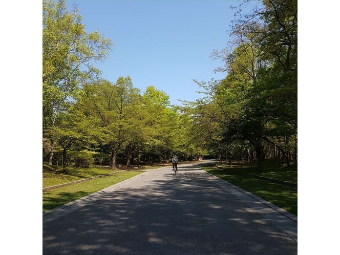 ホテルから徒歩２分！緑豊かな中島公園♪サイクリングも良いですよ♪