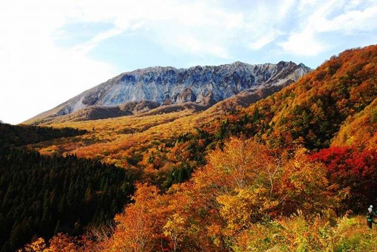 大山鍵掛峠からの紅葉