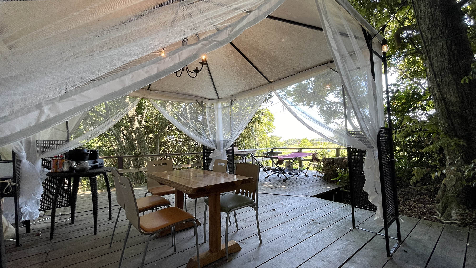 ・【リバーサイドフォレスト2】原生林の森の中はまさに秘境♪自然と一体となったような気分になれます