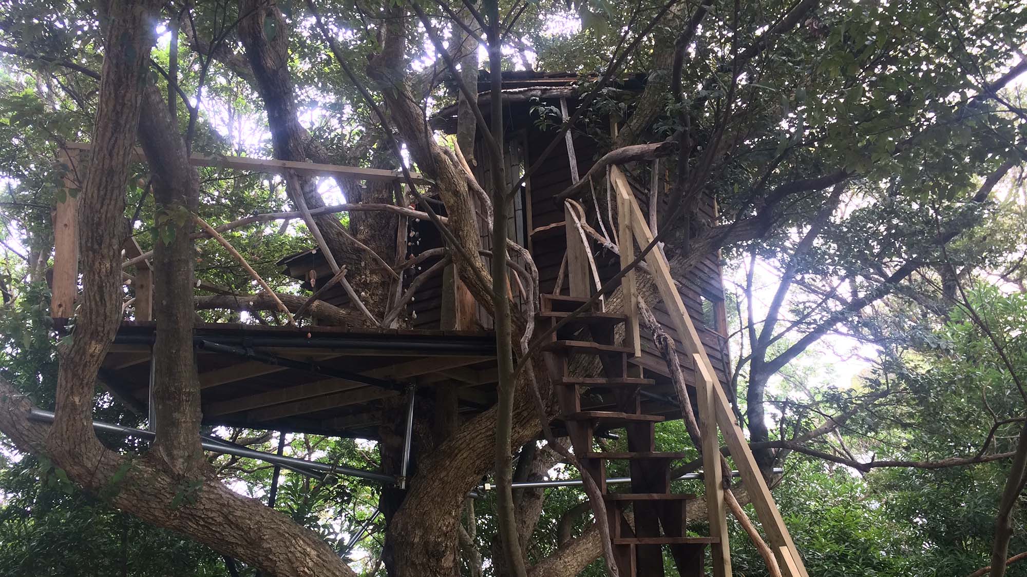 ・【リバーサイドフォレスト1】ツリーハウス付!お子様から大人まで楽しめます