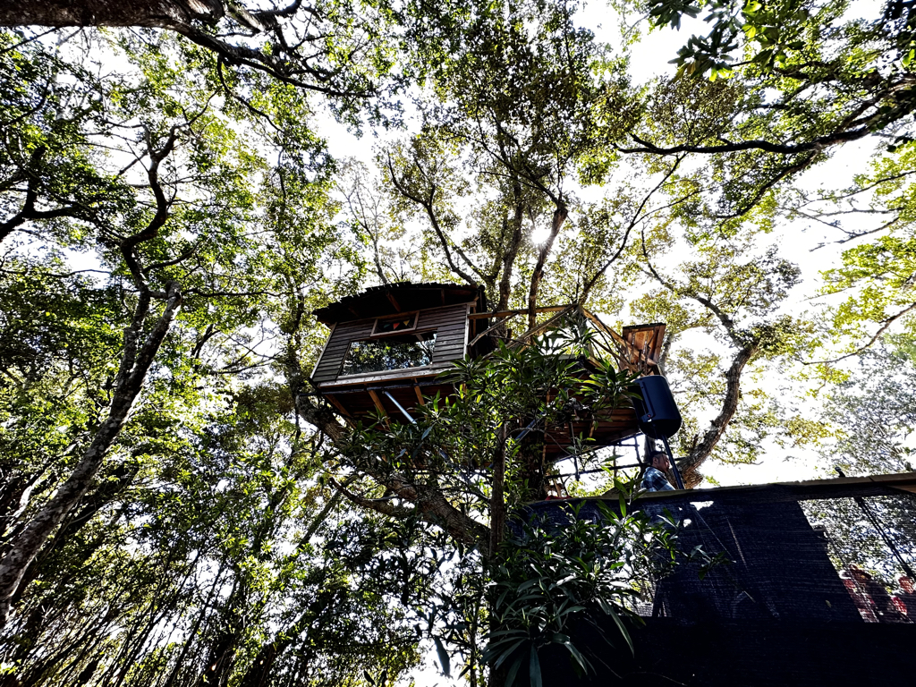 リバーサイドフォレストグランピング-1ツリーハウス