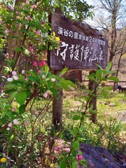 季節の花と看板