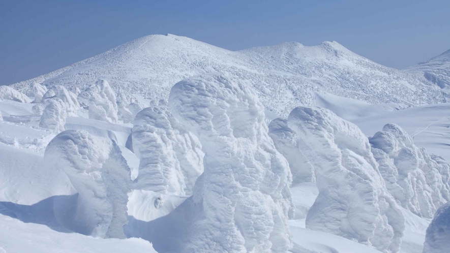 八甲田山の樹氷