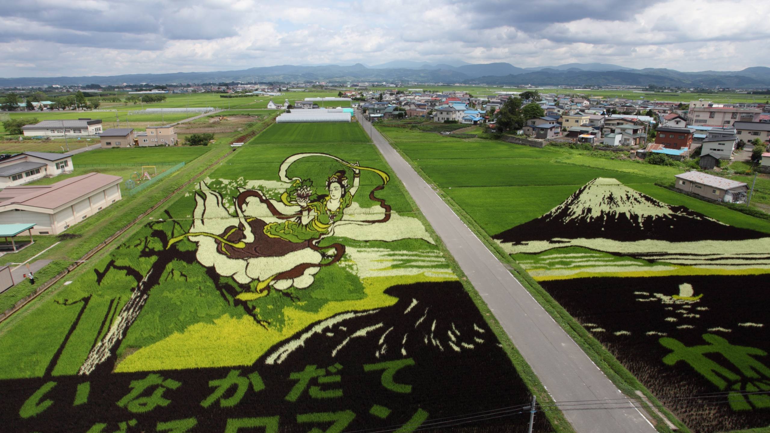 田んぼアート　第一会場